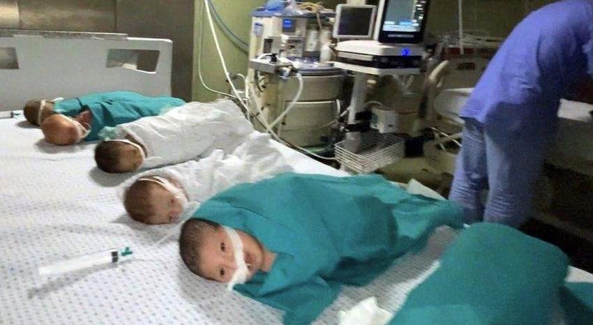 Bayi lahir prematur selamat di Gaza