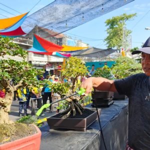 KOTA ASRI turut ambil bagian dalam event Lampak Bekereng, dalam rangka Jambore LinmKomunitasas dan Lembaga Kemasyarakatan Kecamatan Ampenan, Kota Mataram yang digelar Minggu(15/09).