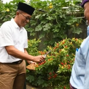 Pj Bupati Lombok Timur