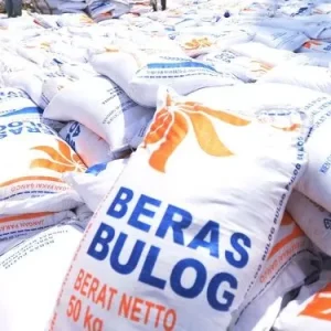 bulog-15000-ton-beras-impor-asal-vietnam-masuk-indonesia-bulan-depan-700x375-533124169