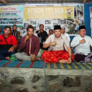 PJ Gubernur NTB Lalu Gita Ariadi apresiasi Kelompok Ternak Sapi di Desa Timuk Belimbing (Instagram/@biroadpimntb)