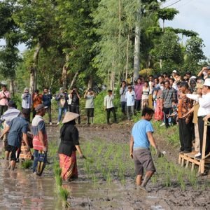 Mentan Andi Amran Sulaiman memimpin gerakan tanam padi bersama petani di Desa Batujai, Kecamatan Praya Barat, Lombok Tengah