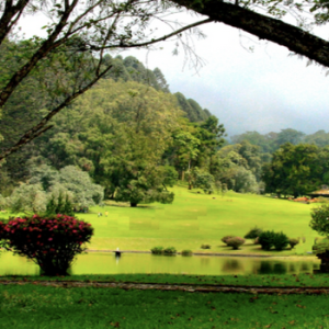 Destinasi wisata Cianjur Kebun Raya Cibodas (dpmptsp.cianjurkab.go.id)